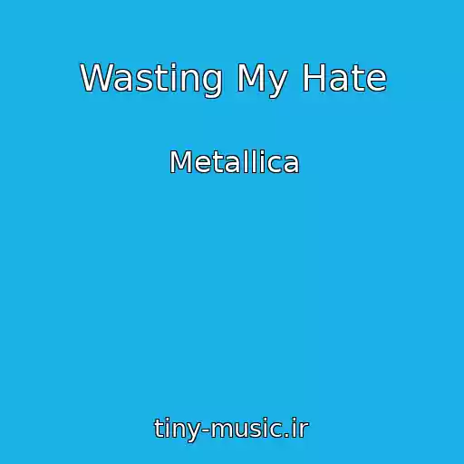 کاور آهنگ Wasting My Hate از Metallica
