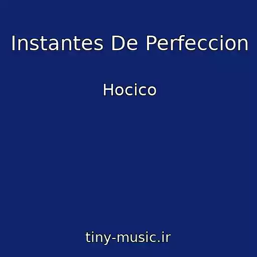 کاور آهنگ Instantes De Perfeccion از Hocico