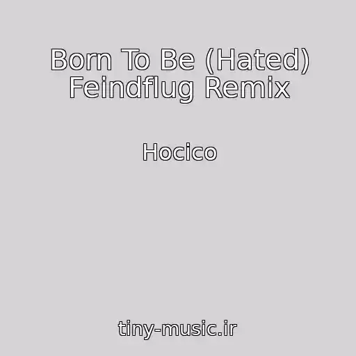 کاور آهنگ Born To Be (Hated) Feindflug Remix از Hocico