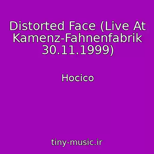 کاور آهنگ Distorted Face (Live At Kamenz-Fahnenfabrik 30.11.1999) از Hocico