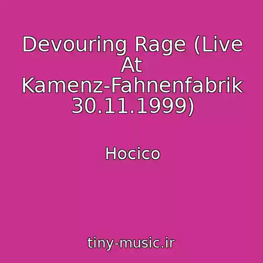 کاور آهنگ Devouring Rage (Live At Kamenz-Fahnenfabrik 30.11.1999) از Hocico