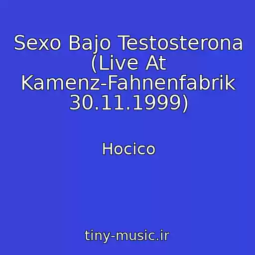 کاور آهنگ Sexo Bajo Testosterona (Live At Kamenz-Fahnenfabrik 30.11.1999) از Hocico
