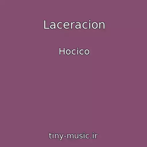 کاور آهنگ Laceracion از Hocico