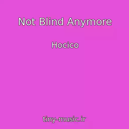 کاور آهنگ Not Blind Anymore از Hocico