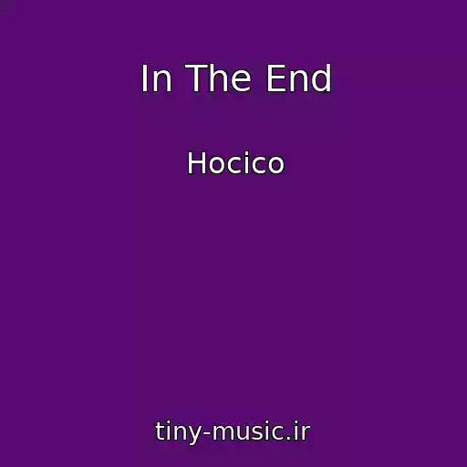 کاور آهنگ In The End از Hocico