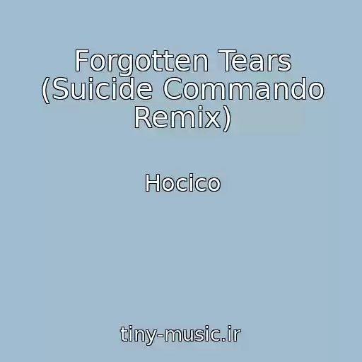کاور آهنگ Forgotten Tears (Suicide Commando Remix) از Hocico