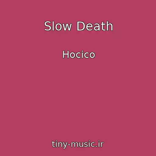 کاور آهنگ Slow Death از Hocico