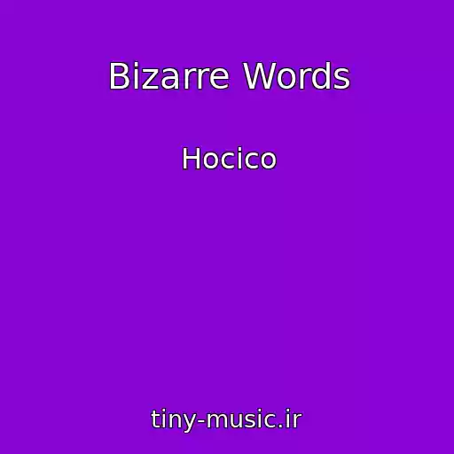 کاور آهنگ Bizarre Words از Hocico