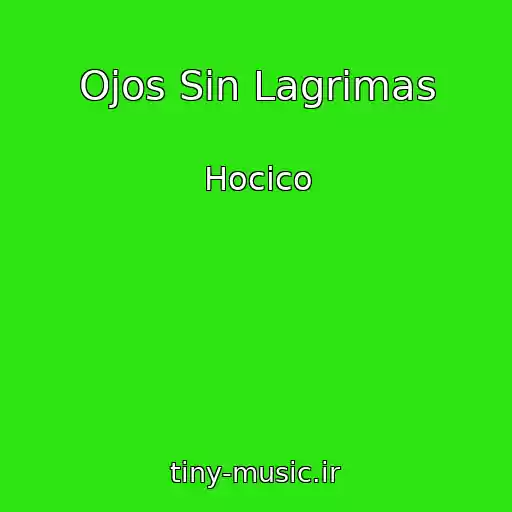 کاور آهنگ Ojos Sin Lagrimas از Hocico