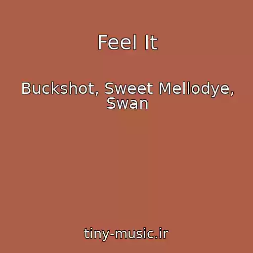 کاور آهنگ Feel It از Buckshot, Sweet Mellodye, Swan