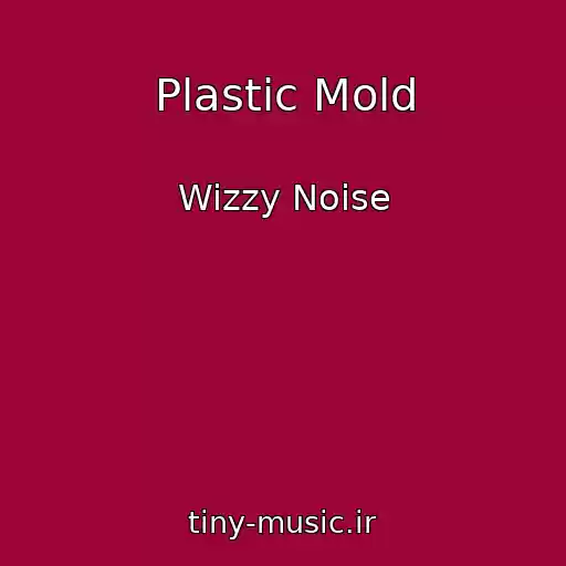 کاور آهنگ Plastic Mold از Wizzy Noise