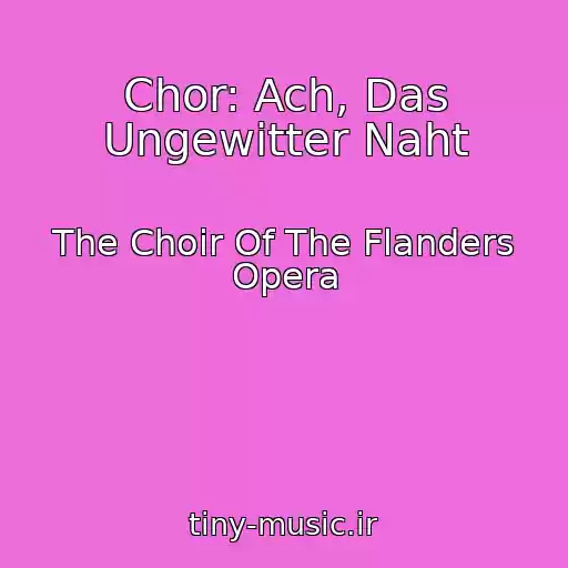 کاور آهنگ Chor: Ach, Das Ungewitter Naht از The Choir Of The Flanders Opera