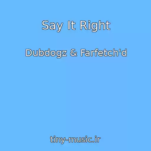 کاور آهنگ Say It Right از Dubdogz & Farfetch'd