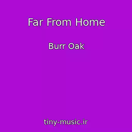 کاور آهنگ Far From Home از Burr Oak