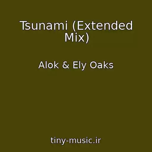 کاور آهنگ Tsunami (Extended Mix) از Alok & Ely Oaks