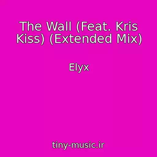 کاور آهنگ The Wall (Feat. Kris Kiss) (Extended Mix) از Elyx