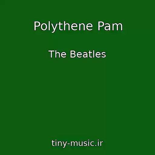 کاور آهنگ Polythene Pam از The Beatles