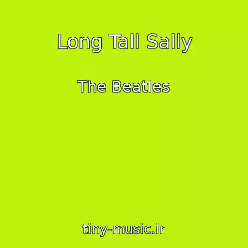 کاور آهنگ Long Tall Sally از The Beatles