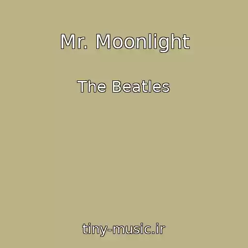 کاور آهنگ Mr. Moonlight از The Beatles