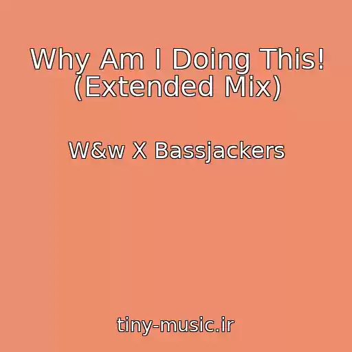 کاور آهنگ Why Am I Doing This! (Extended Mix) از W&w X Bassjackers