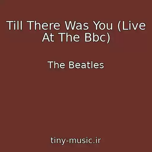 کاور آهنگ Till There Was You (Live At The Bbc) از The Beatles