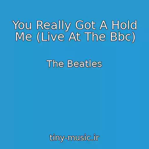 کاور آهنگ You Really Got A Hold Me (Live At The Bbc) از The Beatles