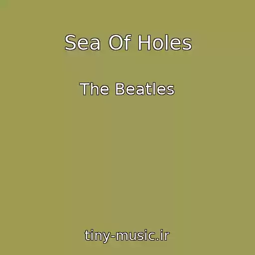 کاور آهنگ Sea Of Holes از The Beatles