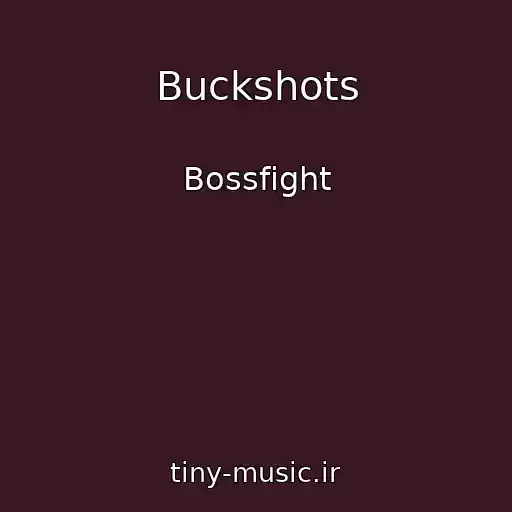 کاور آهنگ Buckshots از Bossfight