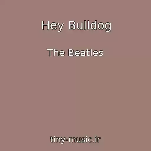 کاور آهنگ Hey Bulldog از The Beatles