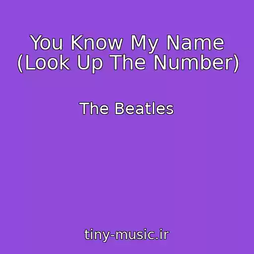 کاور آهنگ You Know My Name (Look Up The Number) از The Beatles