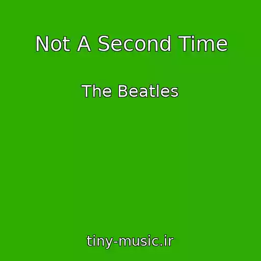 کاور آهنگ Not A Second Time از The Beatles