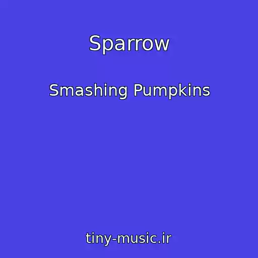 کاور آهنگ Sparrow از Smashing Pumpkins
