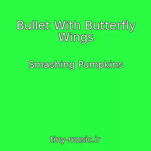کاور آهنگ Bullet With Butterfly Wings از Smashing Pumpkins