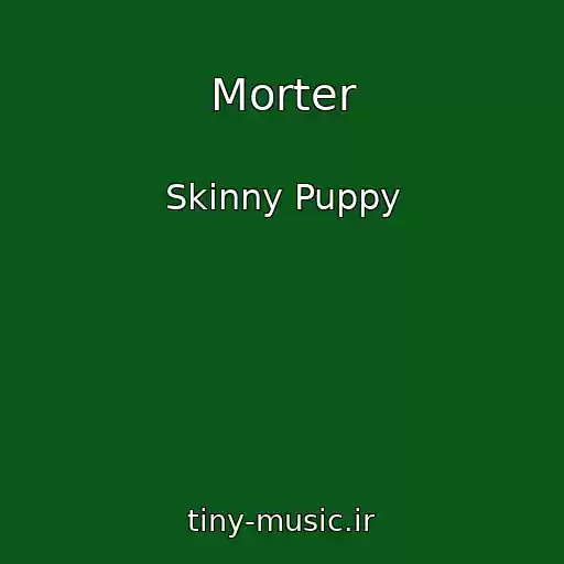کاور آهنگ Morter از Skinny Puppy