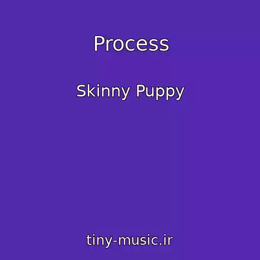 کاور آهنگ Process از Skinny Puppy
