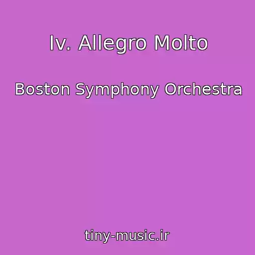کاور آهنگ Iv. Allegro Molto از Boston Symphony Orchestra