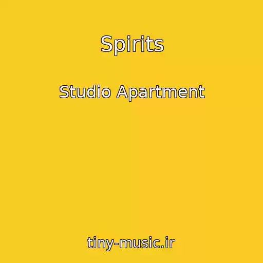 کاور آهنگ Spirits از Studio Apartment