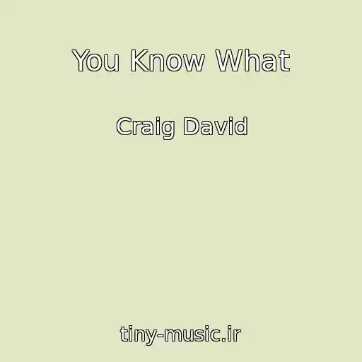 کاور آهنگ You Know What از Craig David