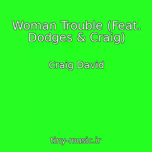 کاور آهنگ Woman Trouble (Feat. Dodges & Craig) از Craig David