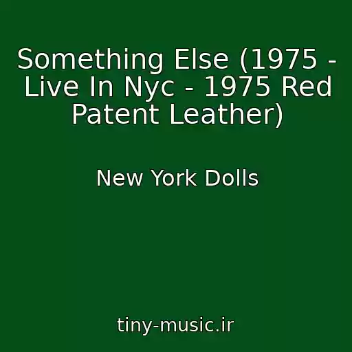 کاور آهنگ Something Else (1975 - Live In Nyc - 1975 Red Patent Leather) از New York Dolls