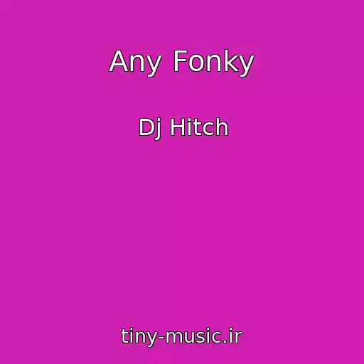 کاور آهنگ Any Fonky از Dj Hitch