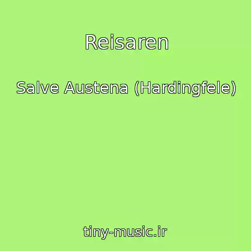 کاور آهنگ Reisaren از Salve Austena (Hardingfele)