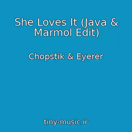 کاور آهنگ She Loves It (Java & Marmol Edit) از Chopstik & Eyerer