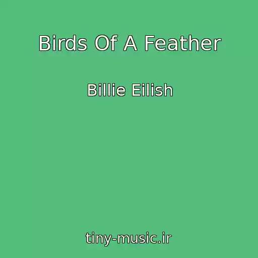 کاور آهنگ Birds Of A Feather از Billie Eilish