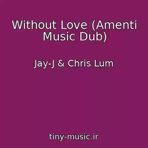 کاور آهنگ Without Love (Amenti Music Dub) از Jay-J & Chris Lum