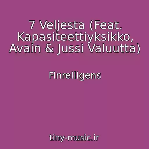 کاور آهنگ 7 Veljesta (Feat. Kapasiteettiyksikko, Avain & Jussi Valuutta) از Finrelligens