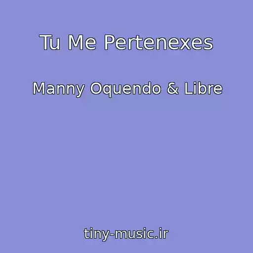 کاور آهنگ Tu Me Pertenexes از Manny Oquendo & Libre