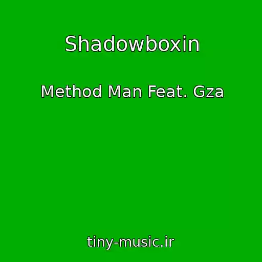 کاور آهنگ Shadowboxin از Method Man Feat. Gza