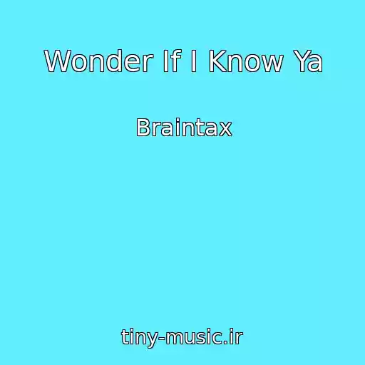 کاور آهنگ Wonder If I Know Ya از Braintax