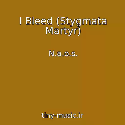 کاور آهنگ I Bleed (Stygmata Martyr) از N.a.o.s.